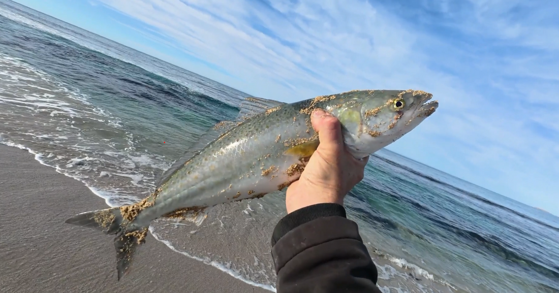 Catch of the Day: Adrian from Catching FA Fishing!
